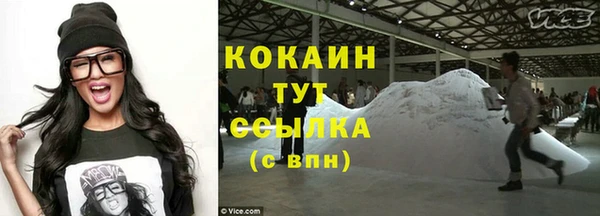 шишки Арсеньев
