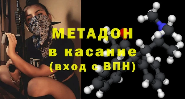 шишки Арсеньев