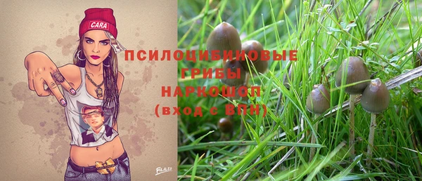 шишки Арсеньев
