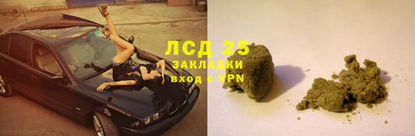 шишки Арсеньев
