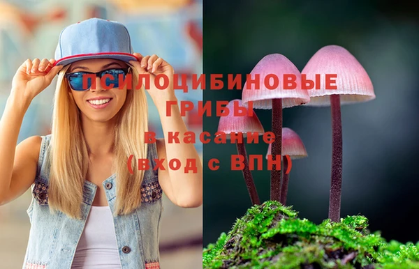СК Армянск