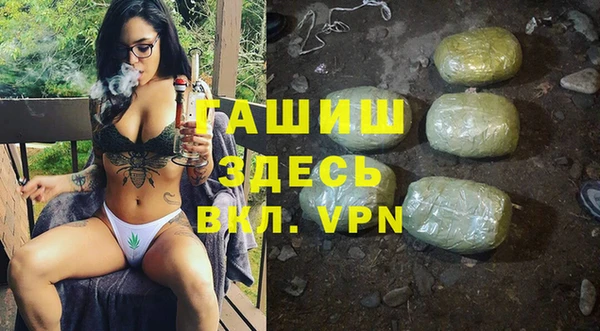 шишки Арсеньев