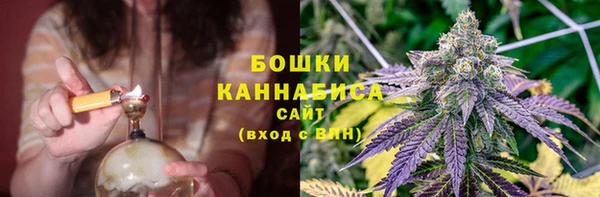 шишки Арсеньев