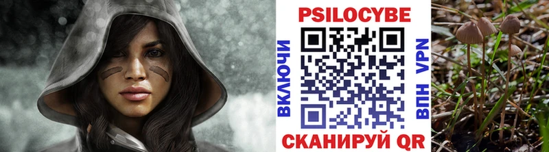 KRAKEN как зайти мориарти телеграм Псилоцибиновые грибы Psilocybine cubensis Кольчугино