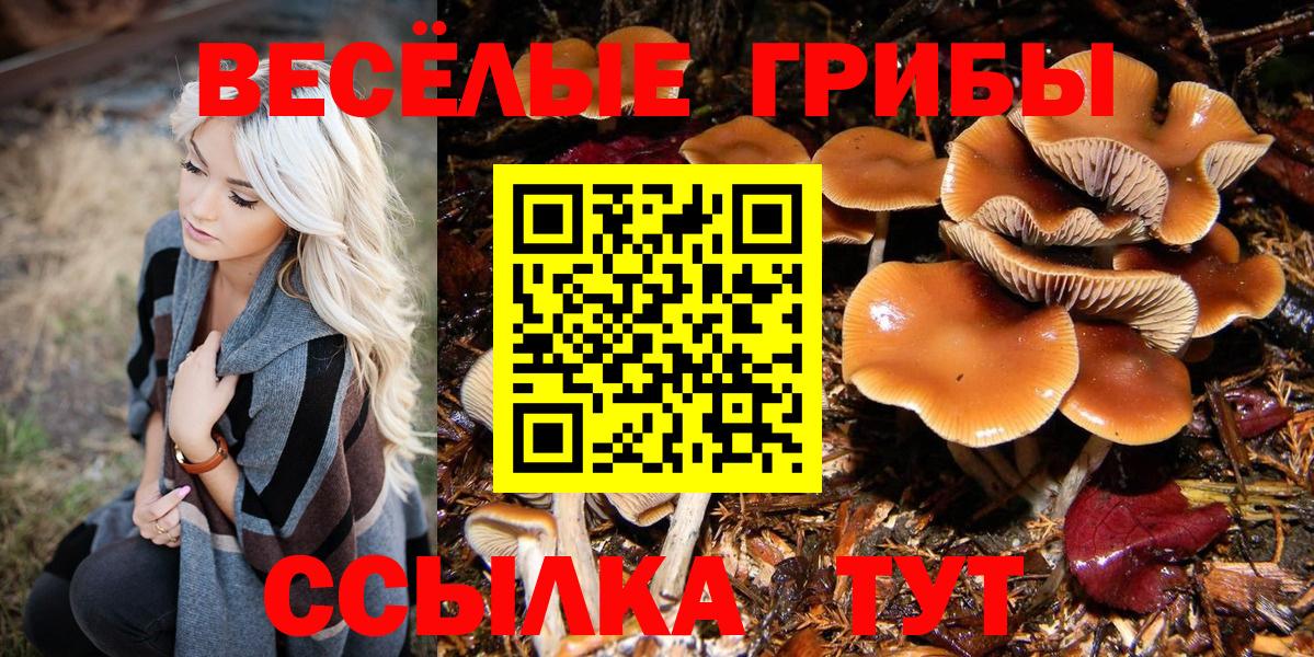 Кольчугино  Галлюциногенные грибы GOLDEN TEACHER  Вход с VPN 
